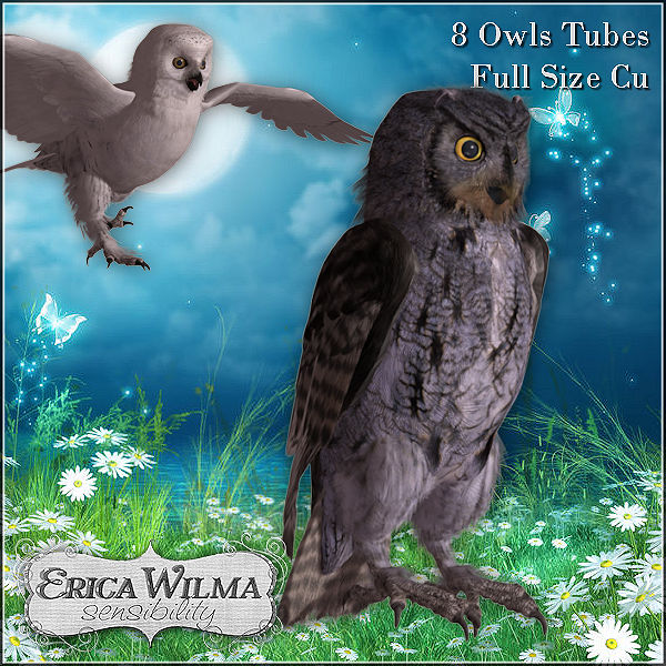 EW Owls cu - Click Image to Close